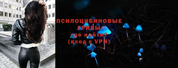 метадон Семёнов