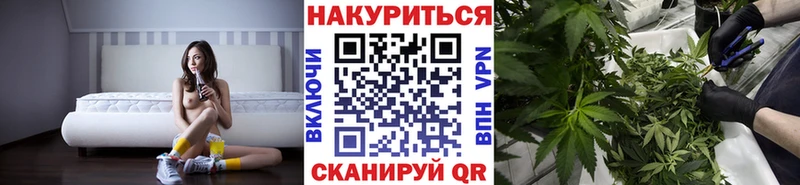 Каннабис сатива  Липки 